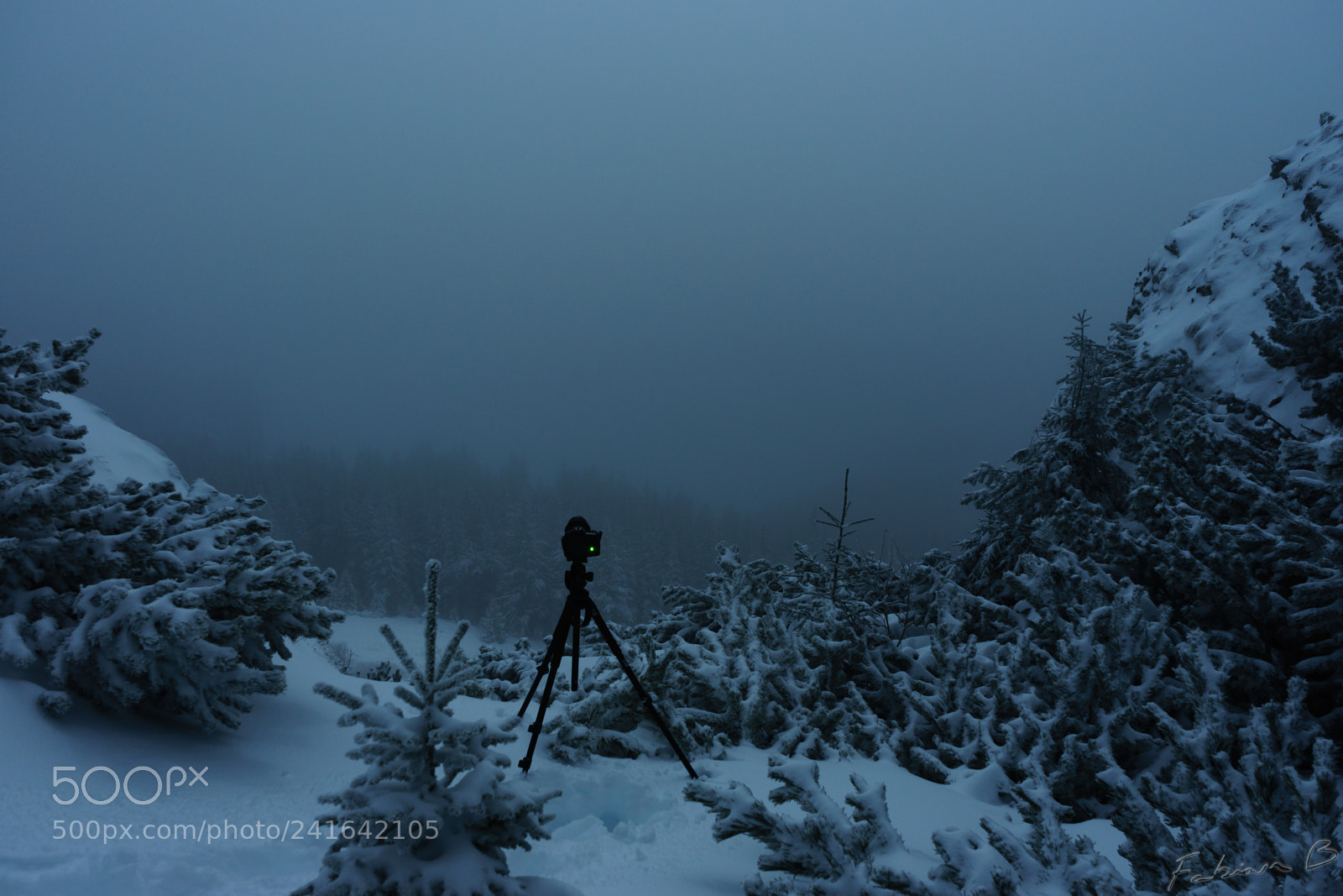Sony a7 II sample photo. Moonlight photography