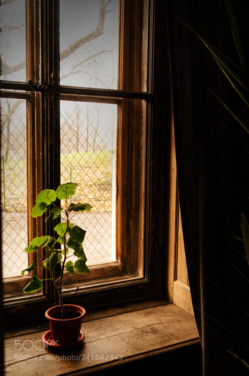 Pentax K-7 sample photo. ....... photography