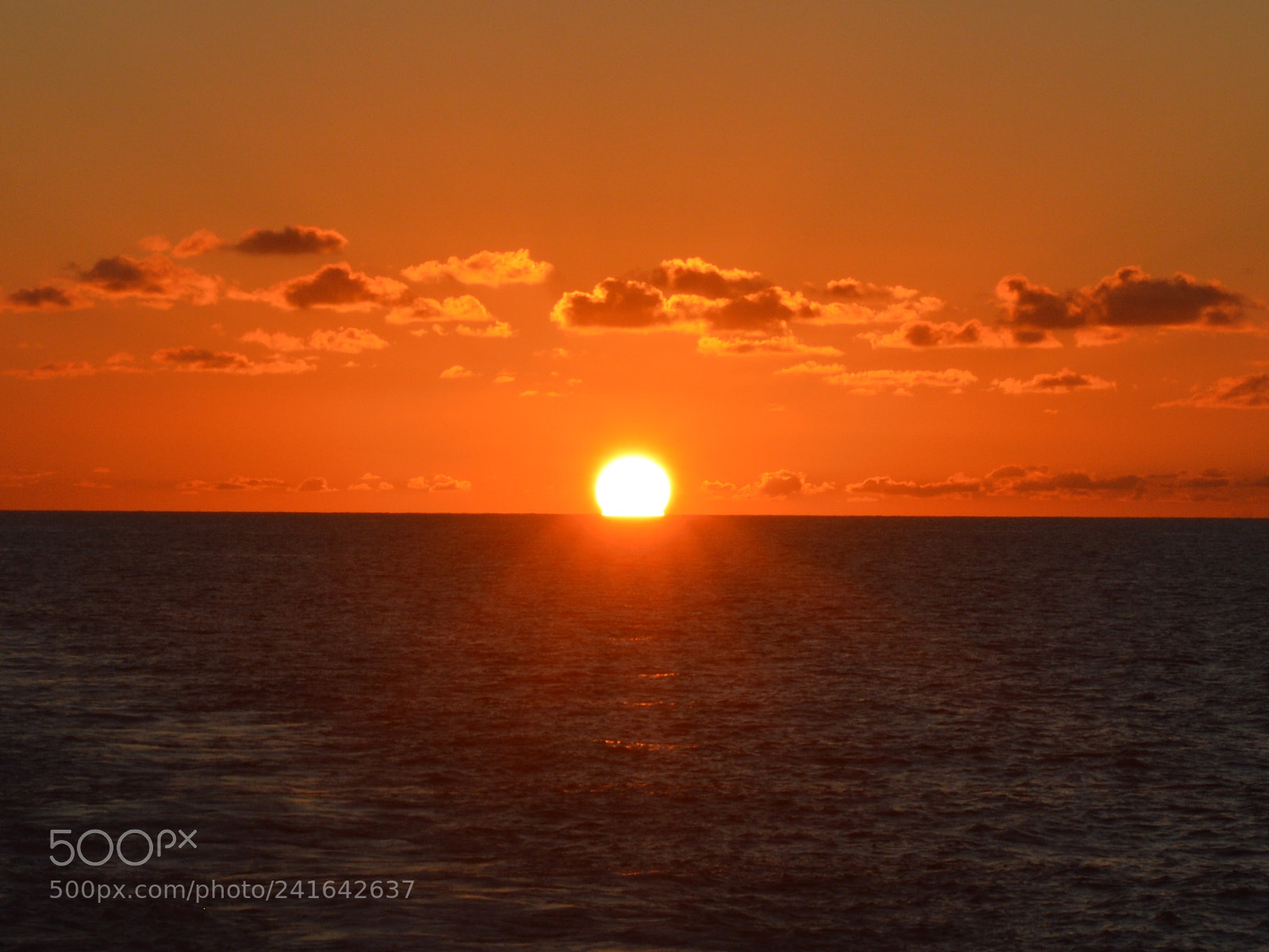 Nikon D3200 sample photo. Untitled photography