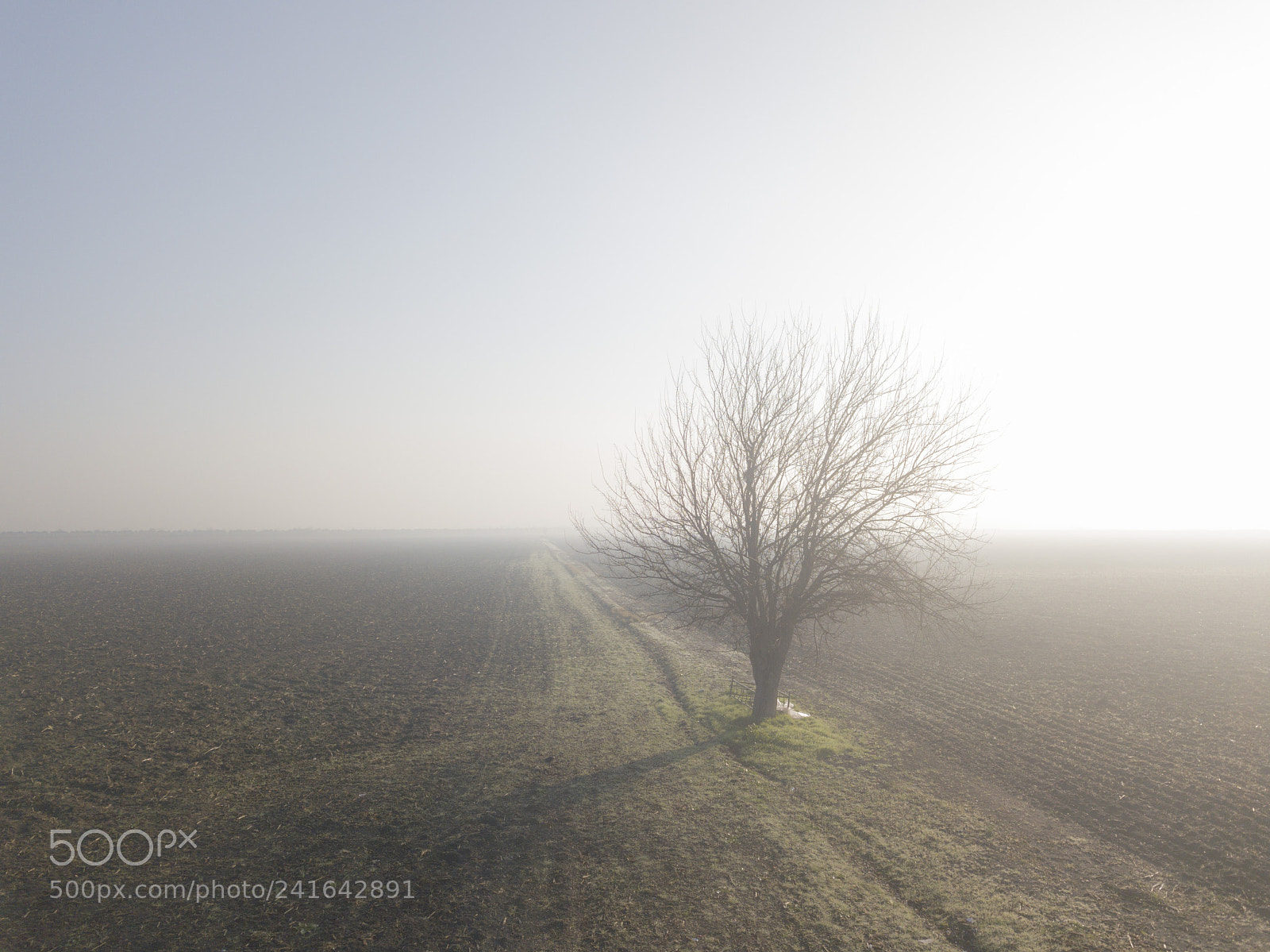 DJI FC220 sample photo. Untitled photography