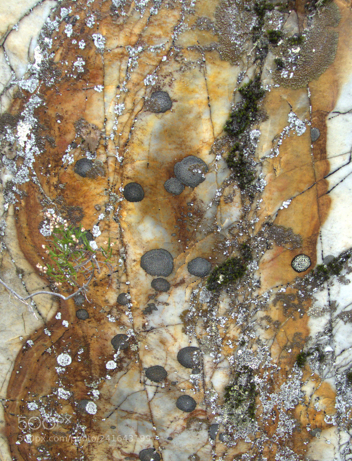 Panasonic Lumix DMC-FZ28 sample photo. Geological gustav klimt photography
