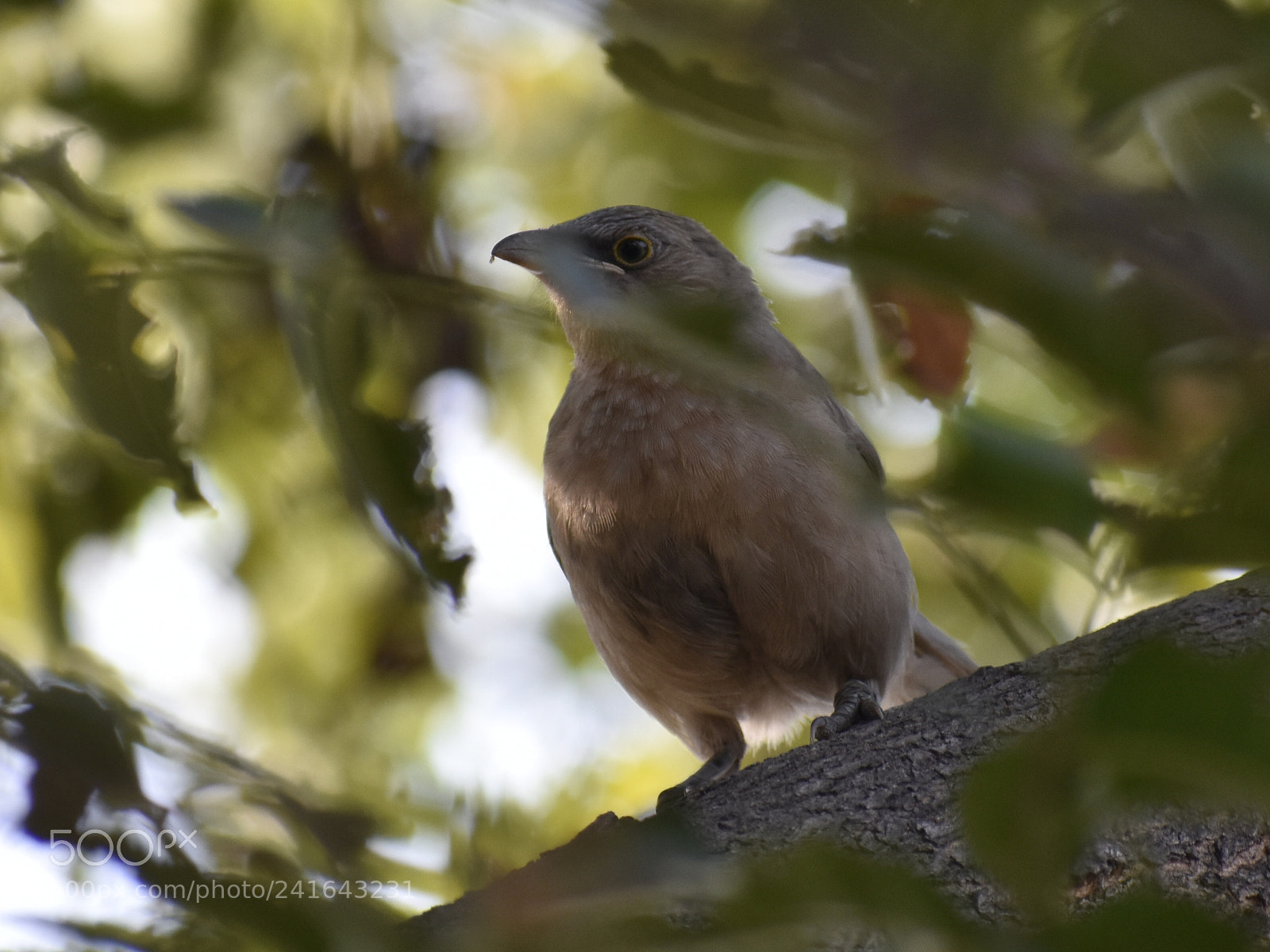 Nikon D3400 sample photo. Bird eye view photography
