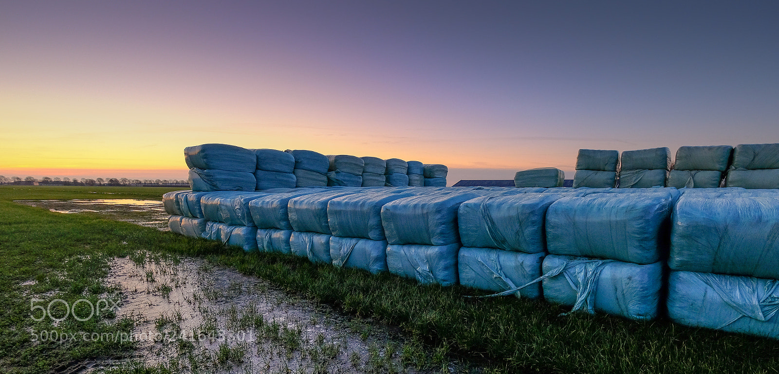 Fujifilm X-T2 sample photo. Silage photography