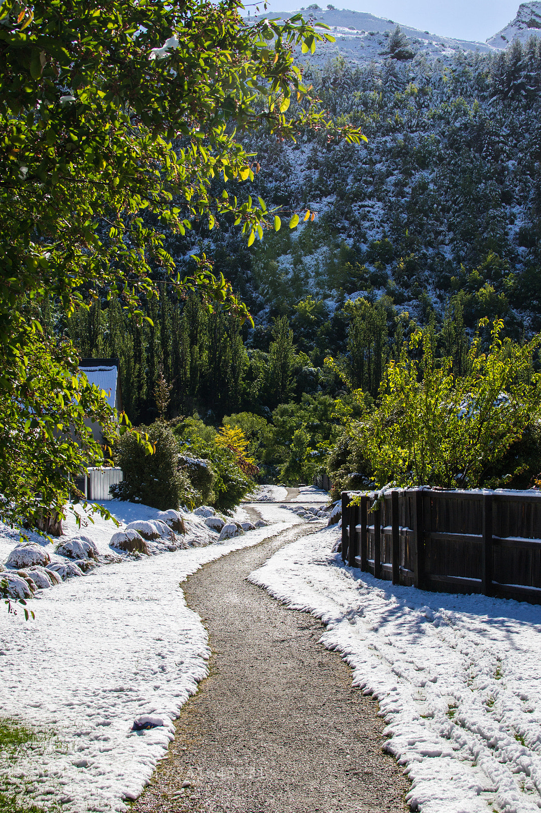 Nikon D3100 sample photo. Snow in arrowtown, new photography