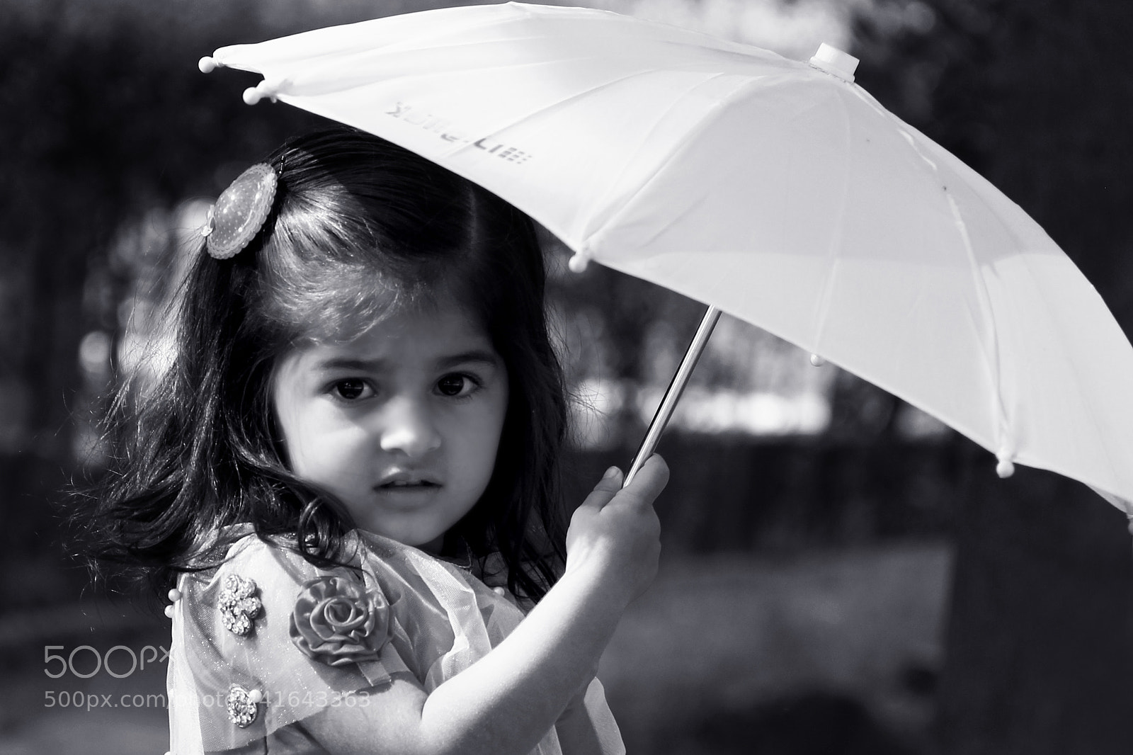 Canon EOS 60D sample photo. Untitled photography