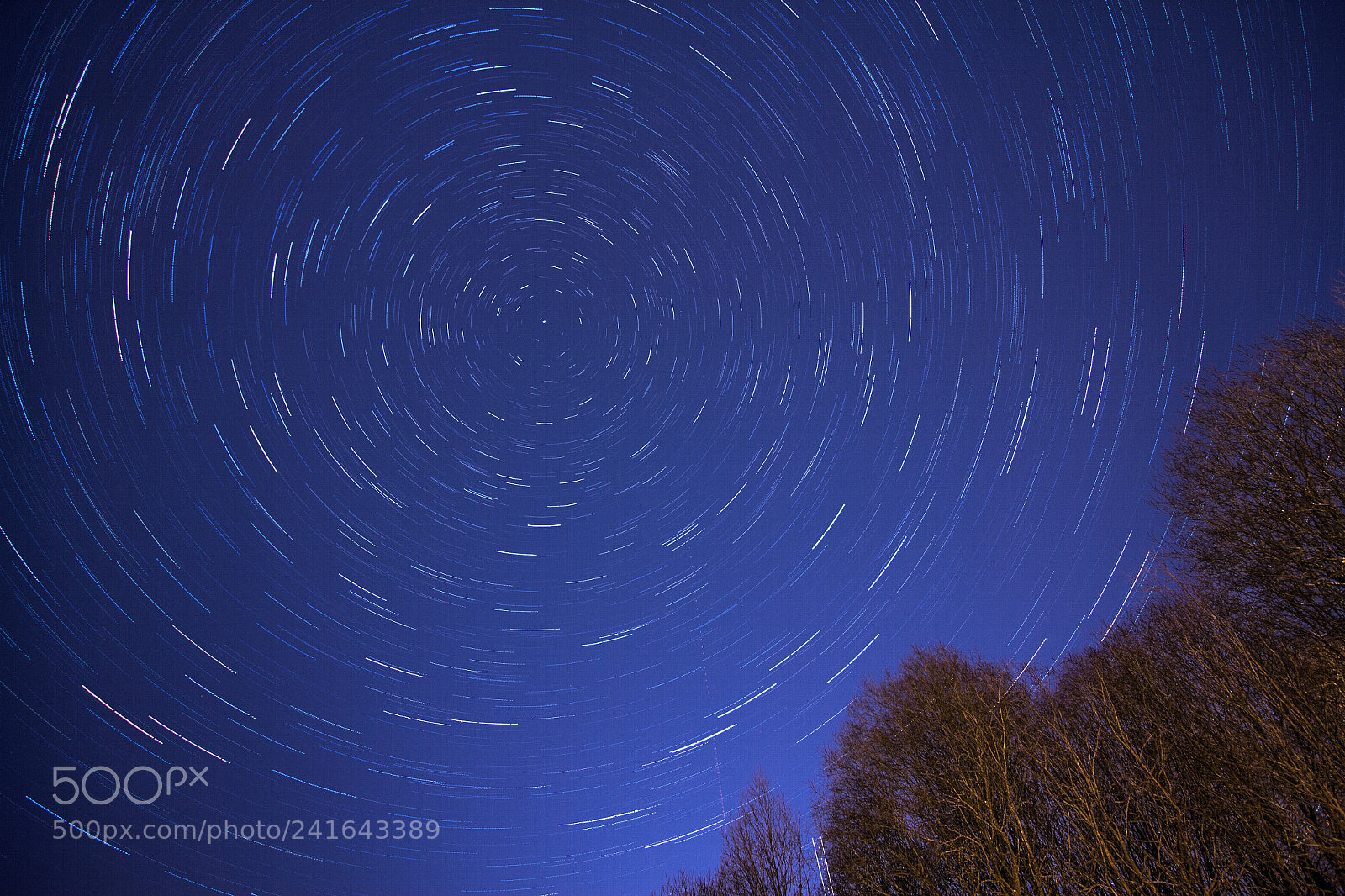 Canon EOS 60D sample photo. Star trail photography