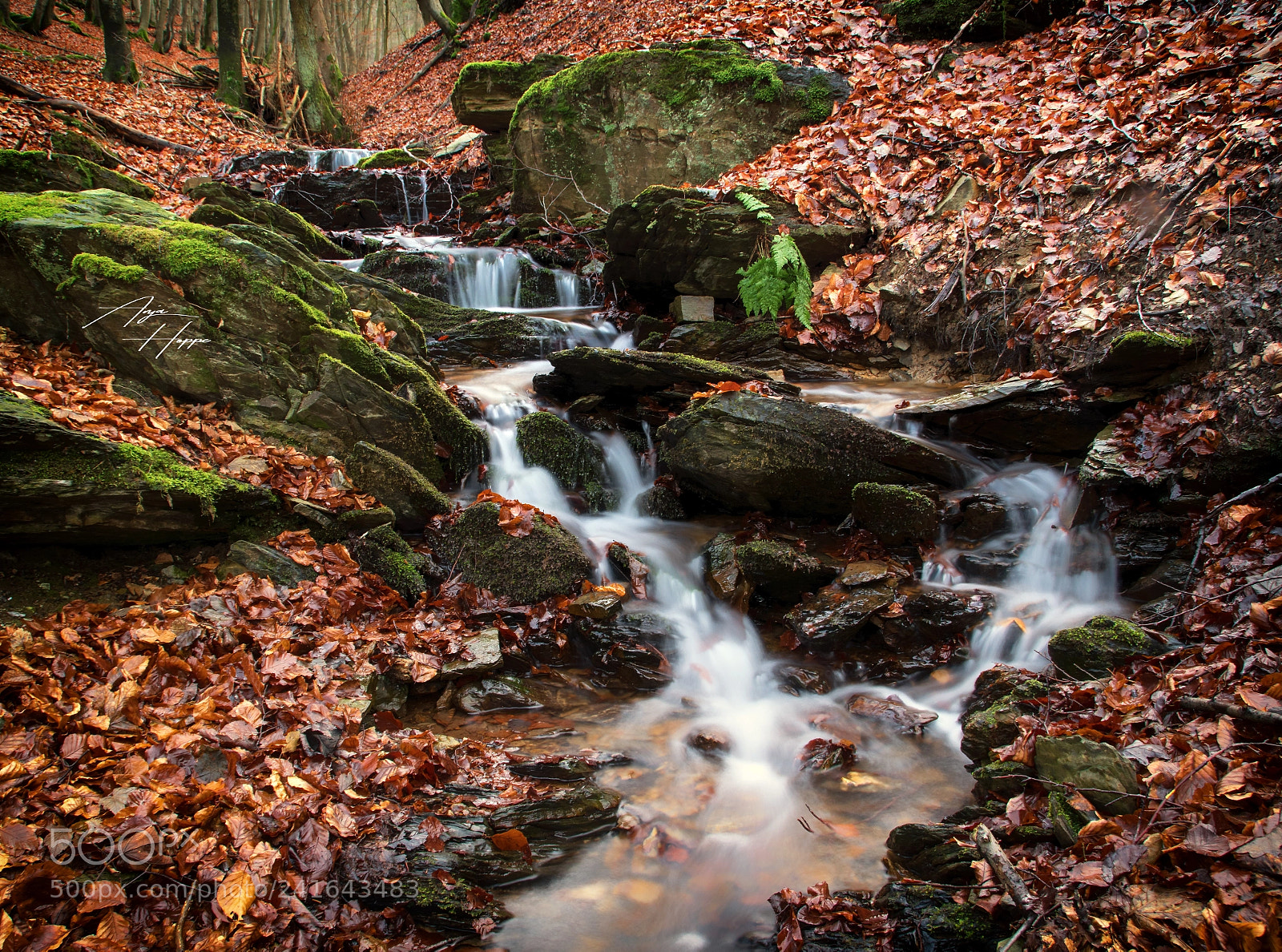 Nikon D5500 sample photo. Wasserfall photography