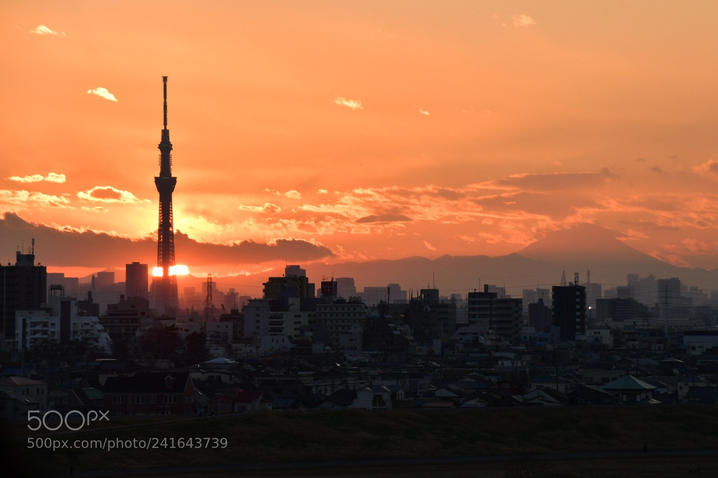 Nikon D7500 sample photo. Sunset to the skytree photography