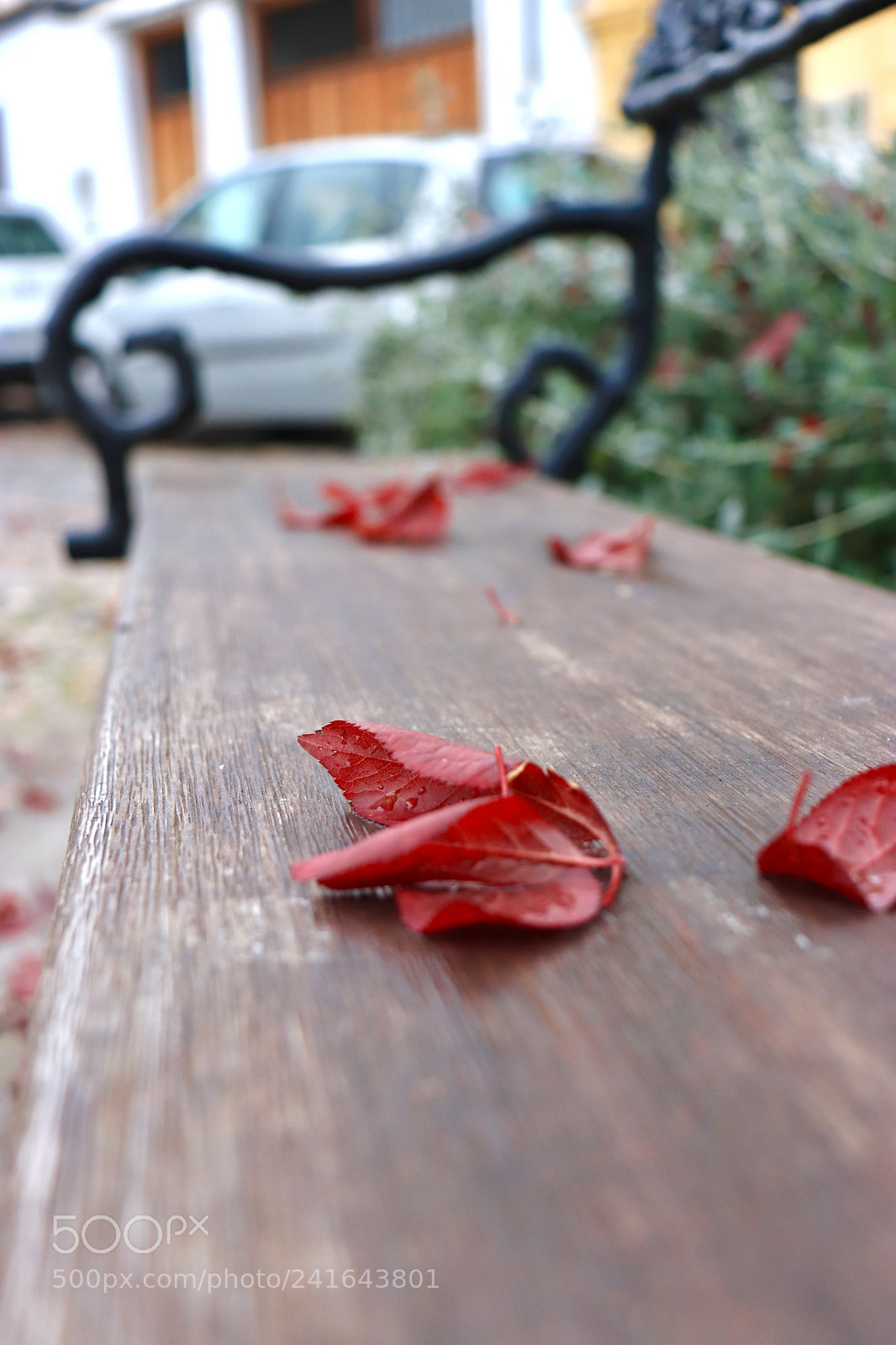 Canon EOS 77D (EOS 9000D / EOS 770D) sample photo. Empezando el a o photography