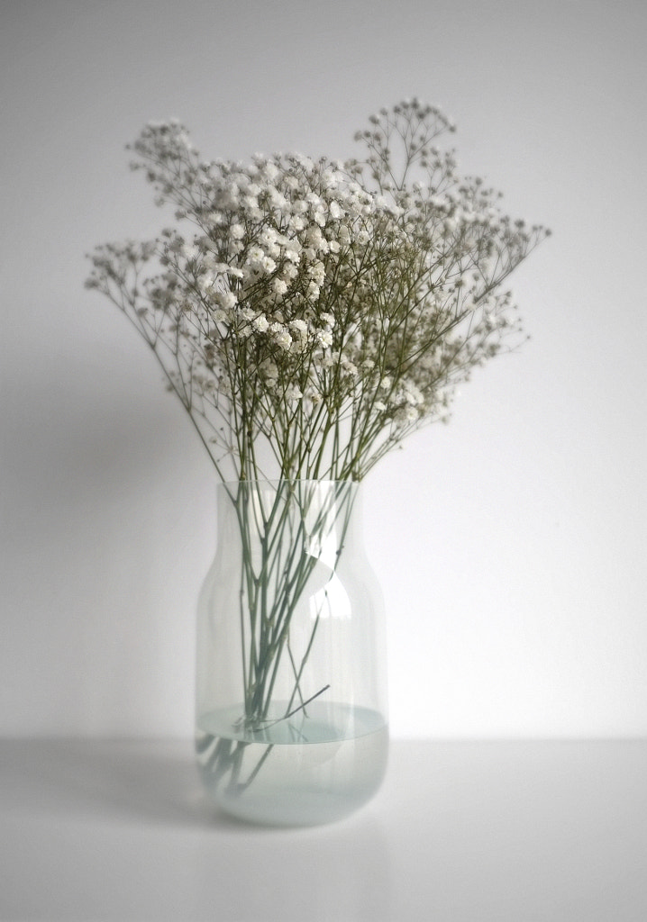 Gypsophila paniculata by Jana Vahalikova / 500px