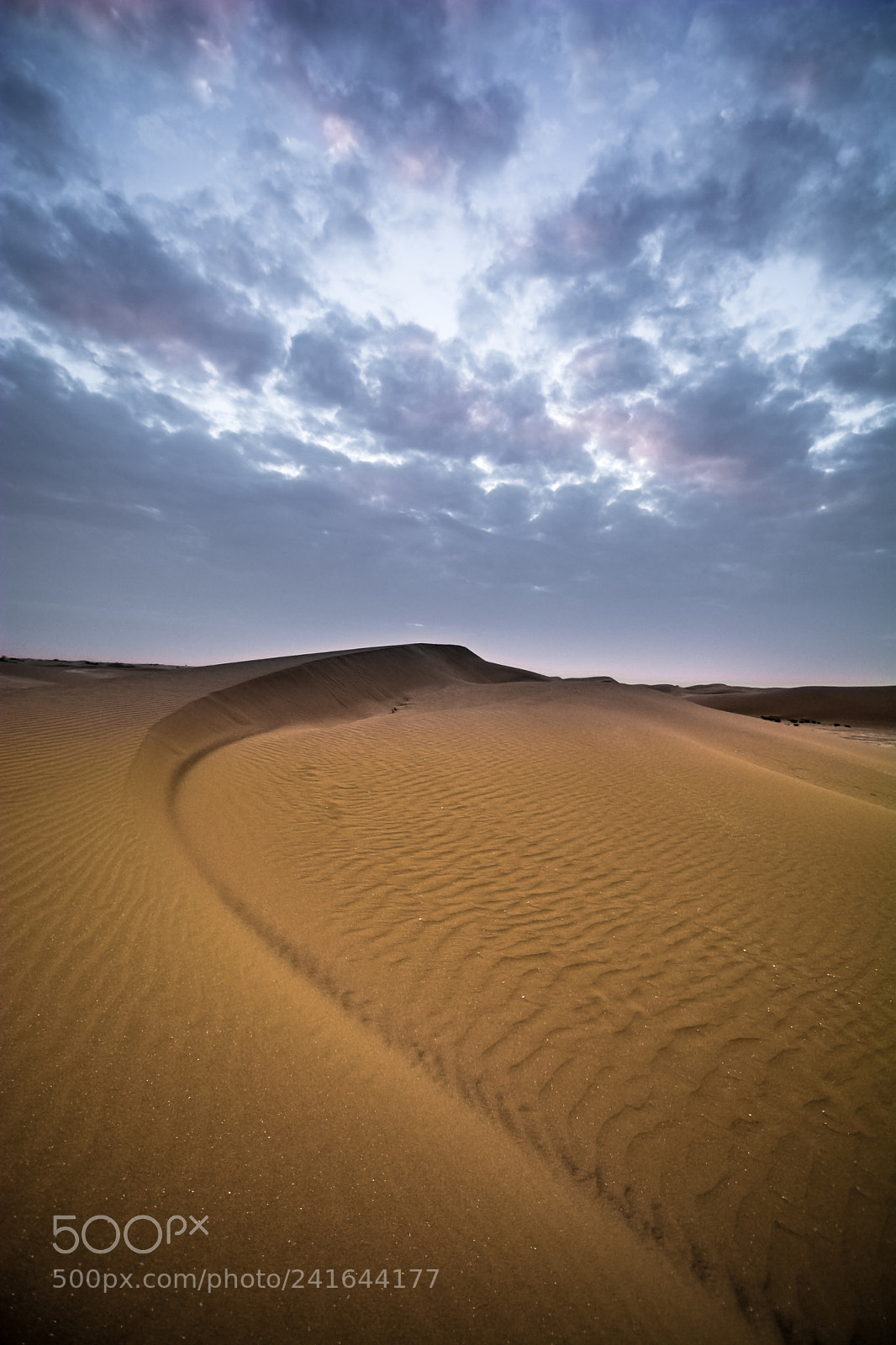 Nikon D7100 sample photo. Desert of stillness photography