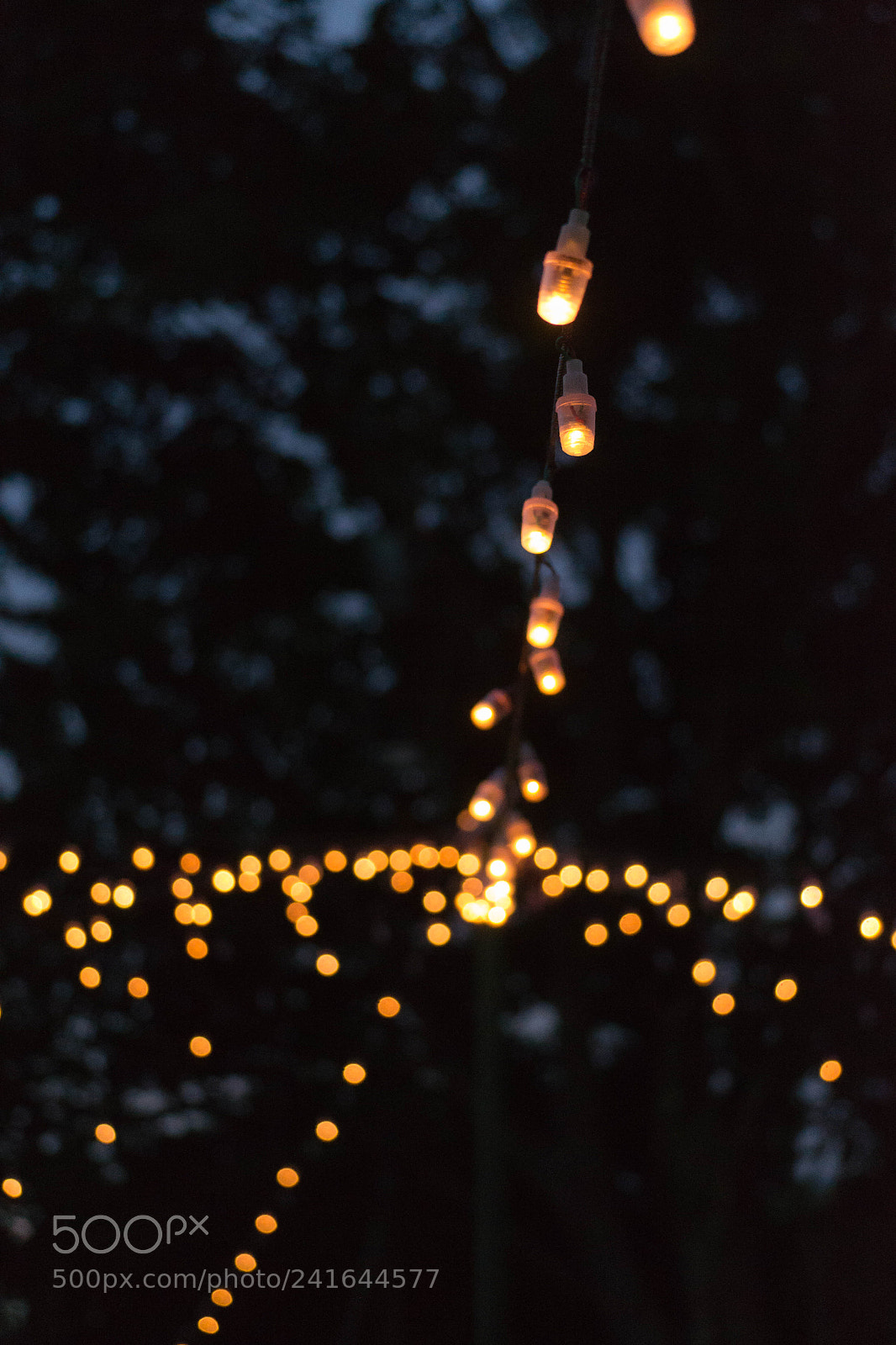 Nikon D3100 sample photo. Party photography