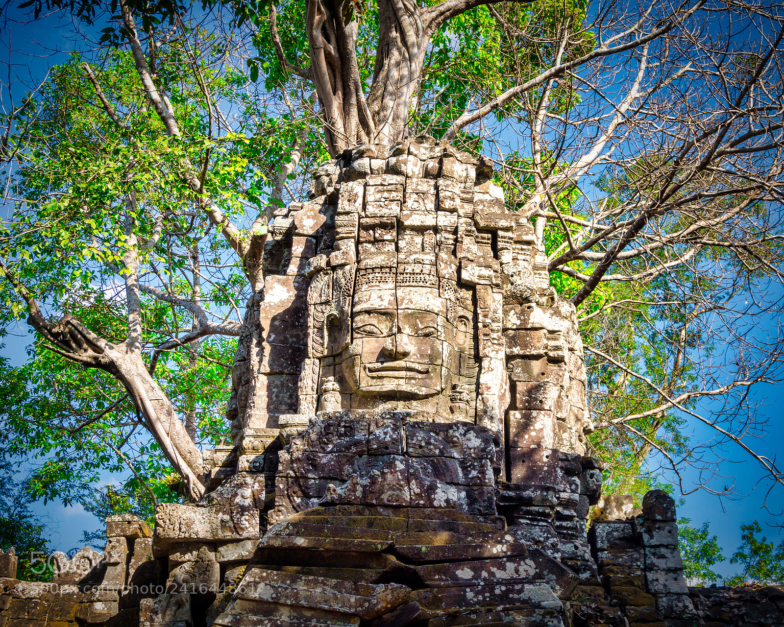 Sony Alpha a5000 (ILCE 5000) sample photo. Face in the stone photography