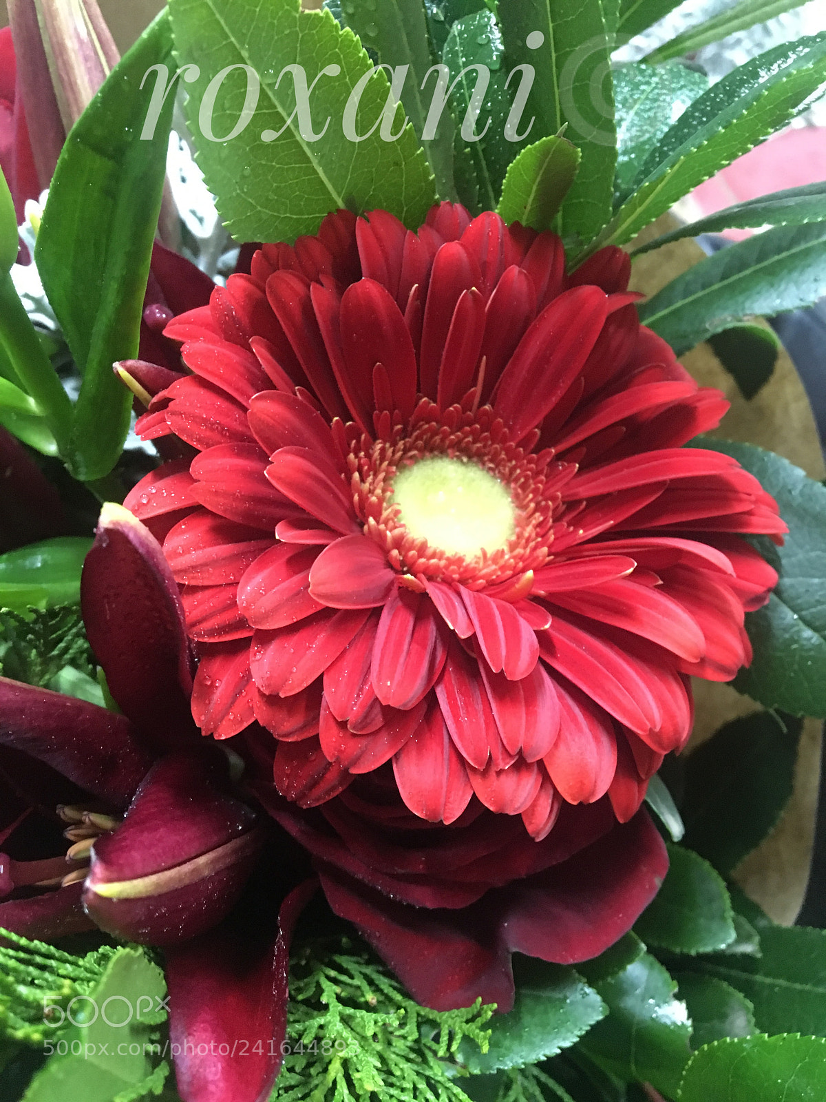 Apple iPhone 6s sample photo. Цвет photography