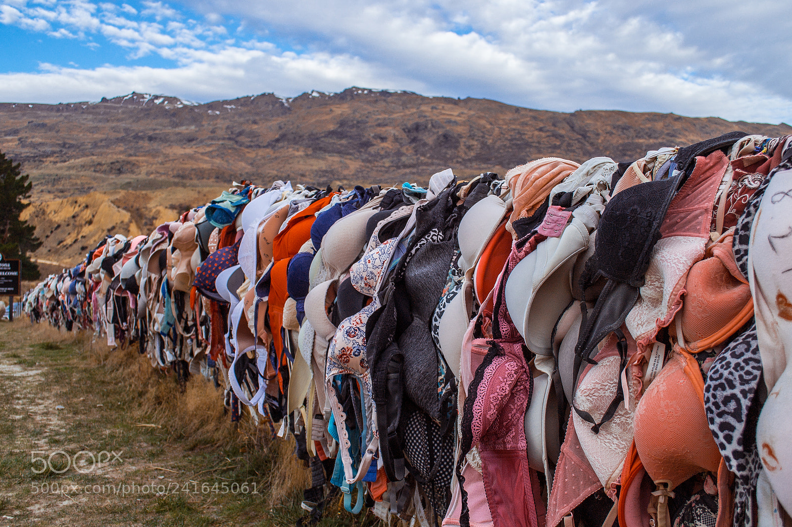 Nikon D3100 sample photo. Cardrona bra fence, new photography