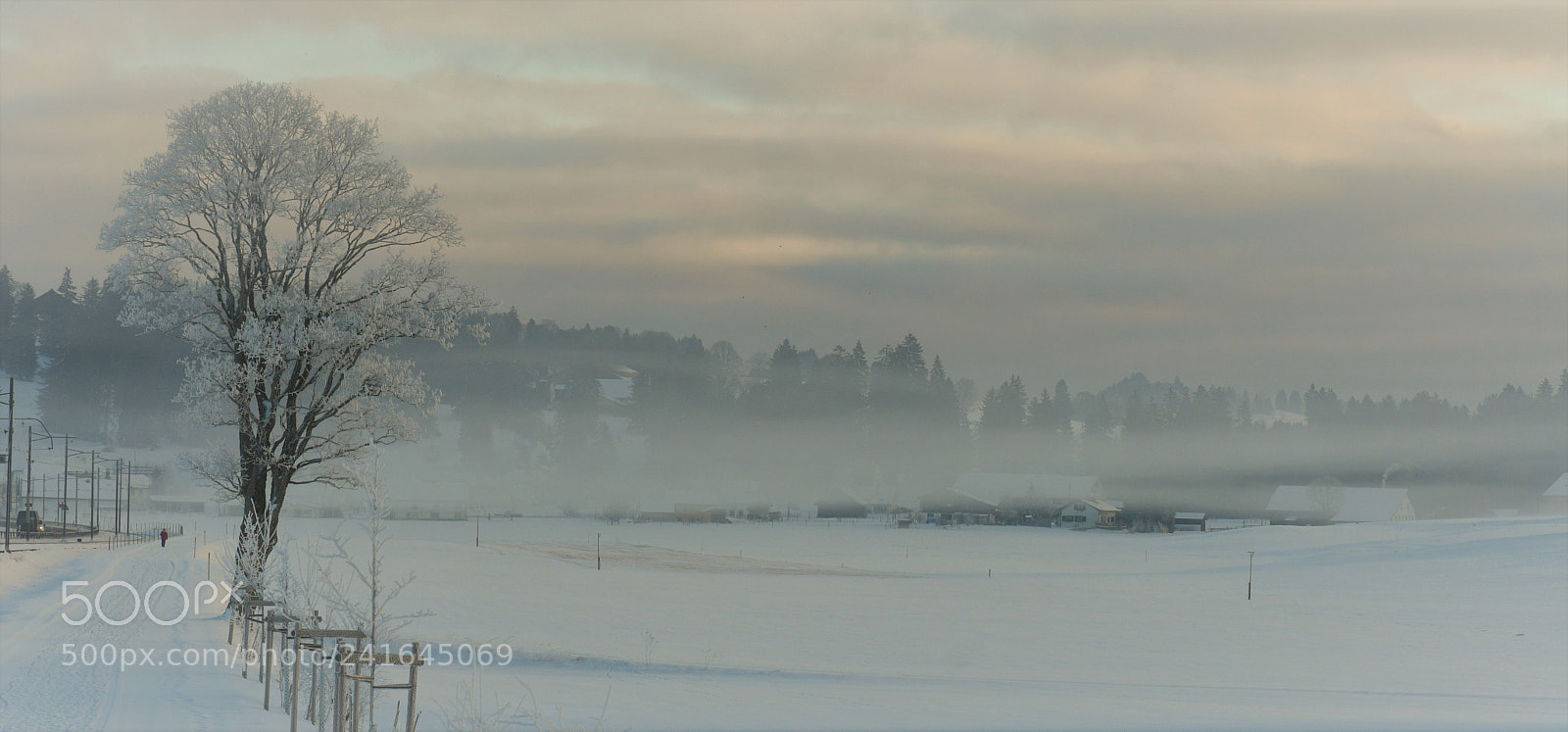 Nikon D500 sample photo. Untitled photography
