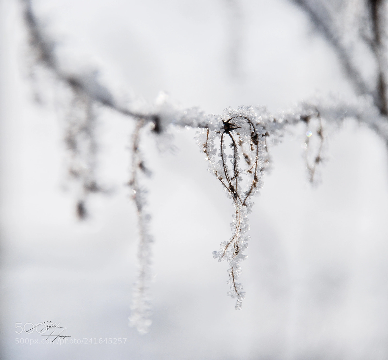 Nikon D80 sample photo. Diamonds photography