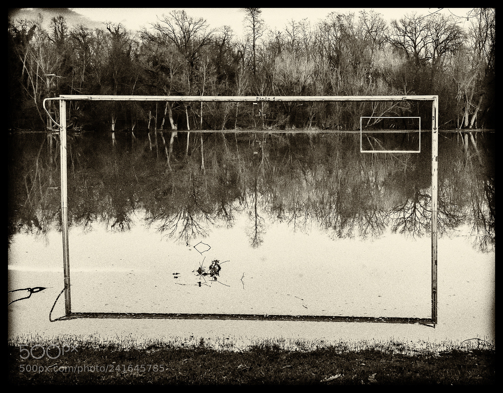Nikon D800 sample photo. Framed flood photography