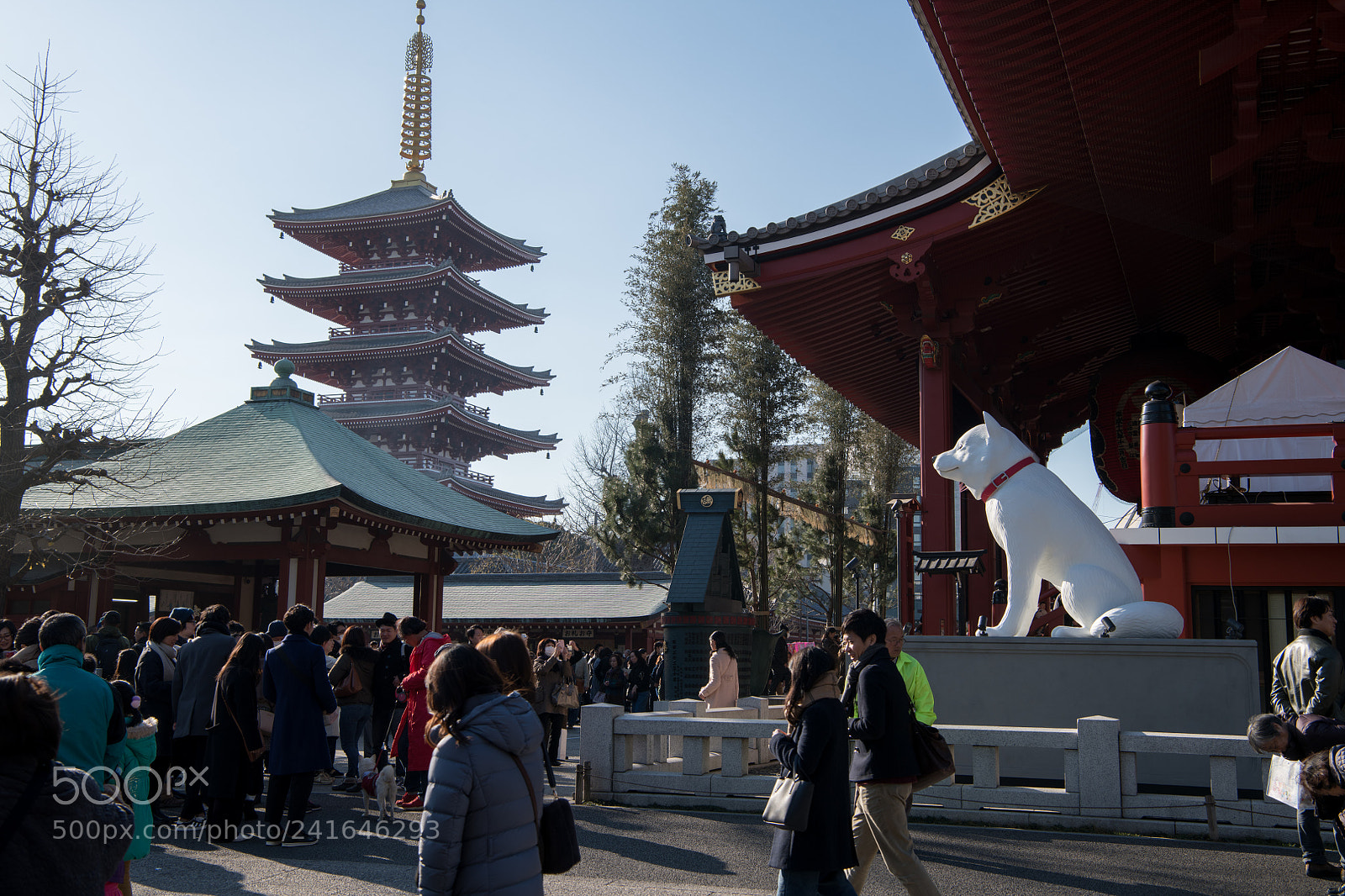 Nikon D850 sample photo. 浅草寺　sensouji photography