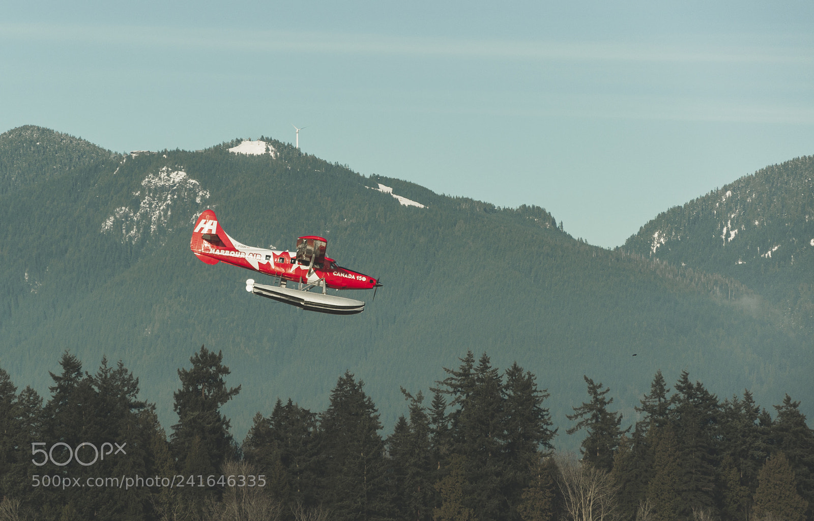 Nikon D90 sample photo. Coming to land photography