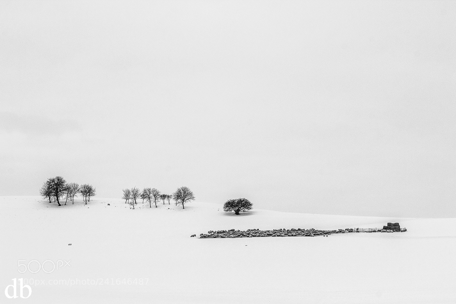 Canon EOS 60D sample photo. Winter minimal photography