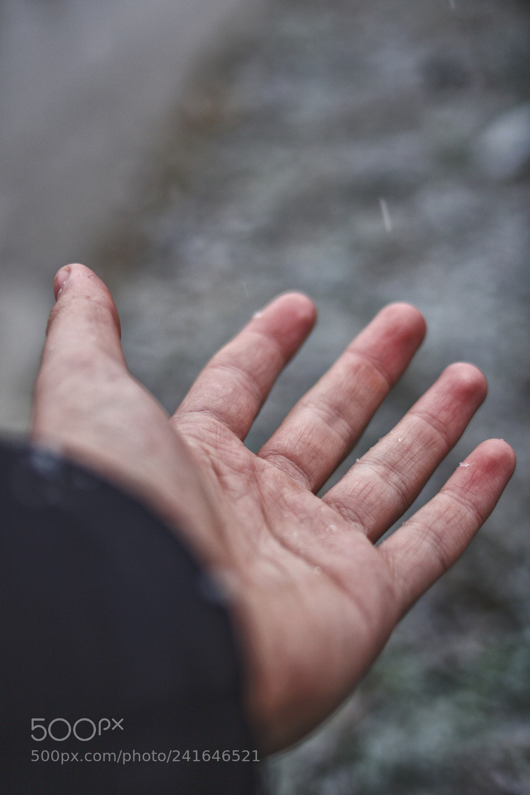 Canon EOS 750D (EOS Rebel T6i / EOS Kiss X8i) sample photo. Snow❄ photography