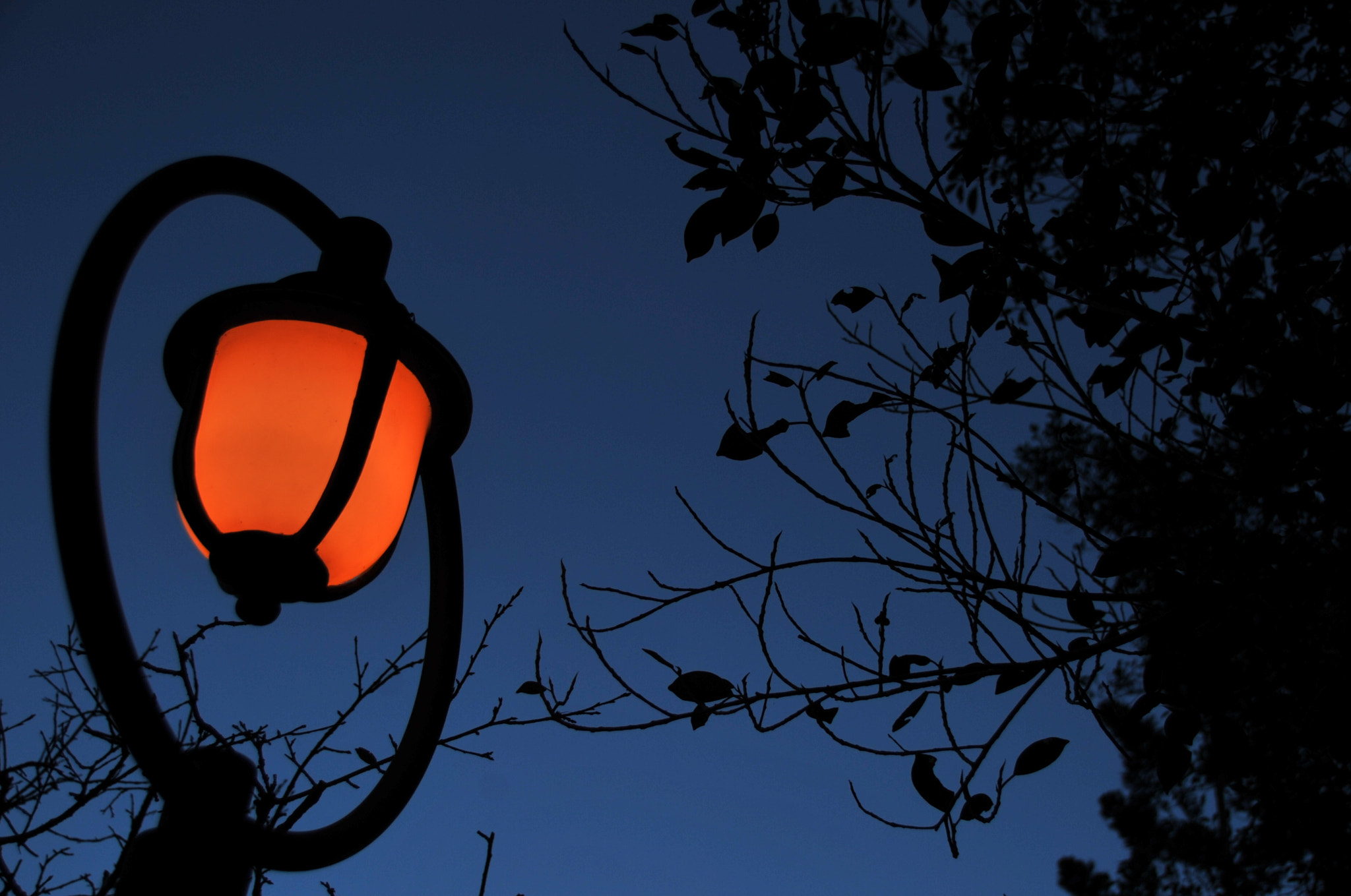 Nikon D3S sample photo. .. photography