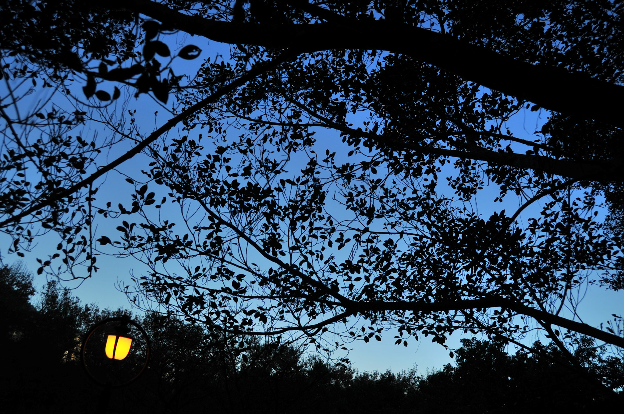 Nikon D3S sample photo. .. photography