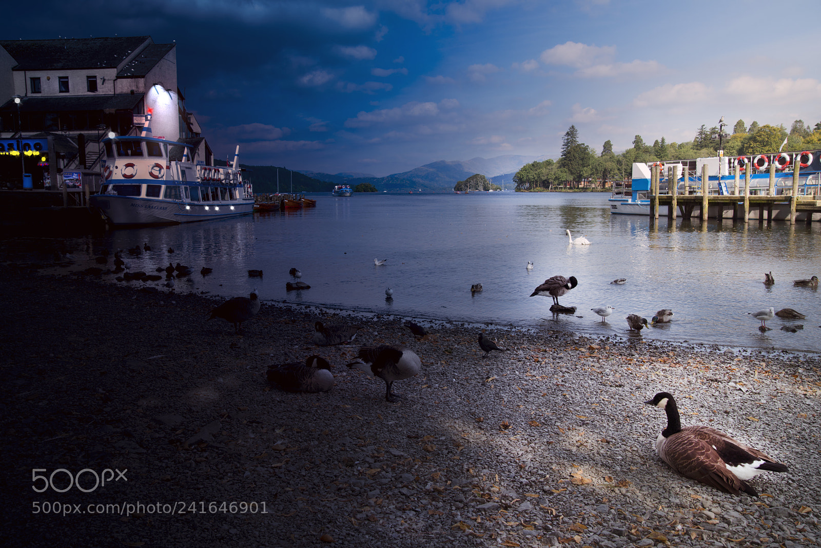 Nikon D800 sample photo. Day v night 2 photography