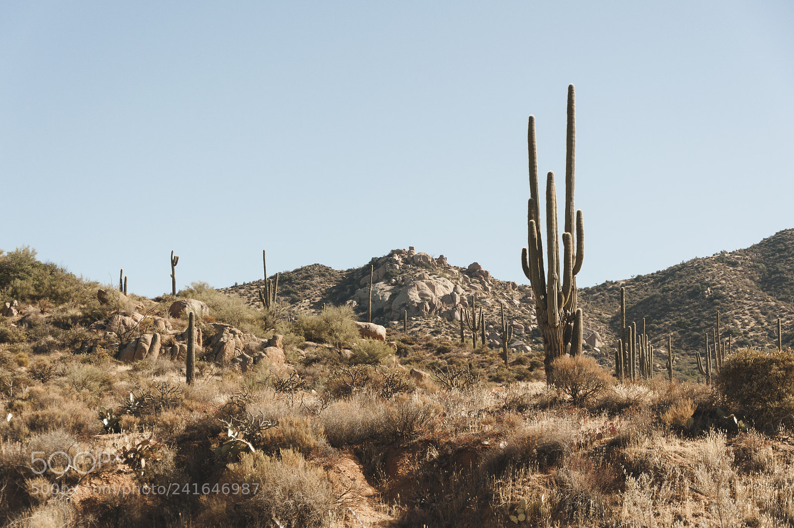 Nikon D90 sample photo. Arid photography