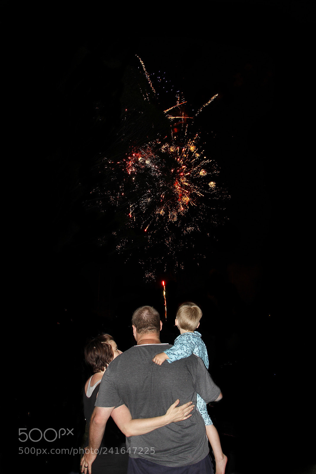 Canon EOS 60D sample photo. New year's greetings from photography