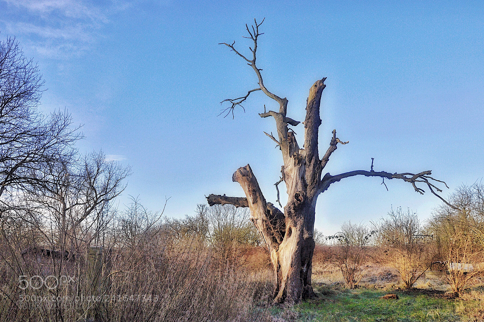 Nikon D5000 sample photo. On the way to photography
