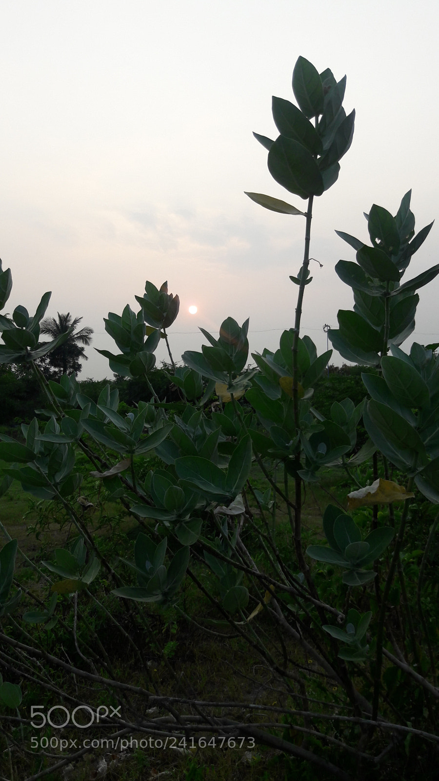 Samsung Galaxy J7 sample photo. Untitled photography