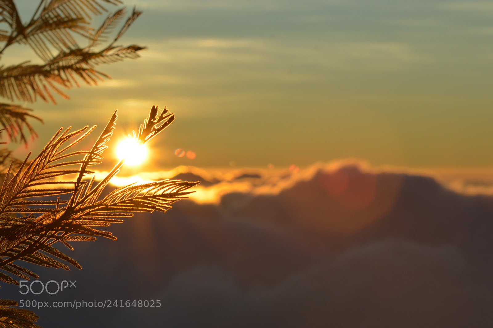 Nikon D3200 sample photo. Sunrise photography
