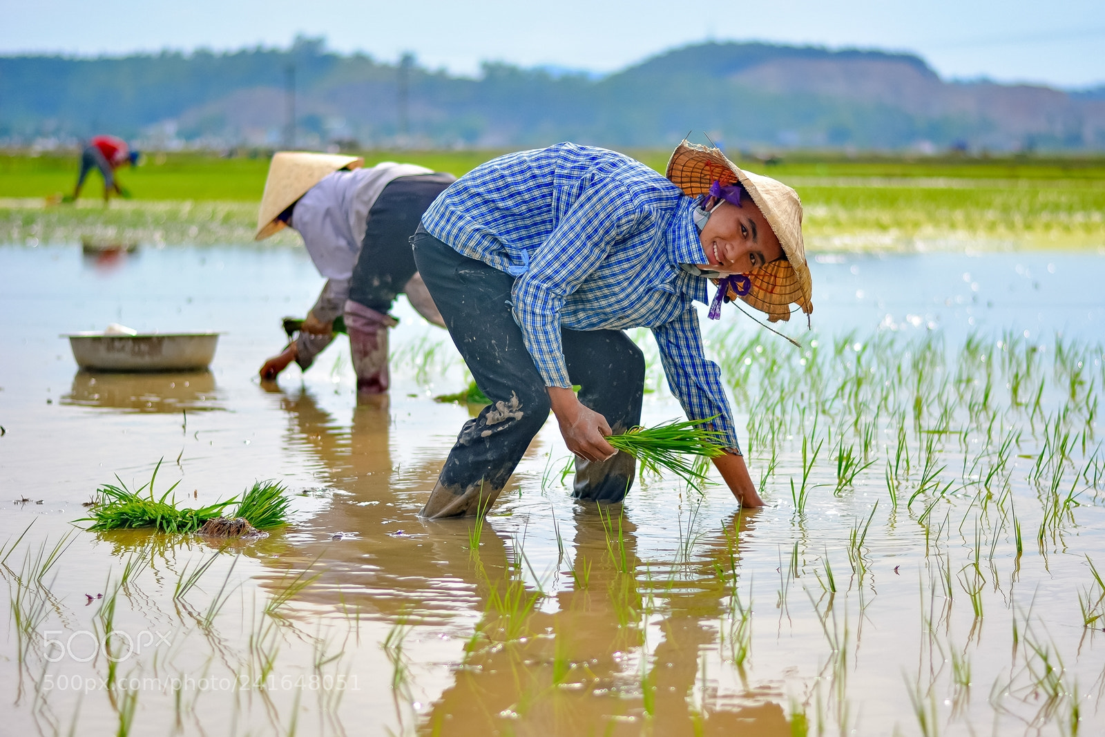 Nikon D7100 sample photo. Vietnam photography