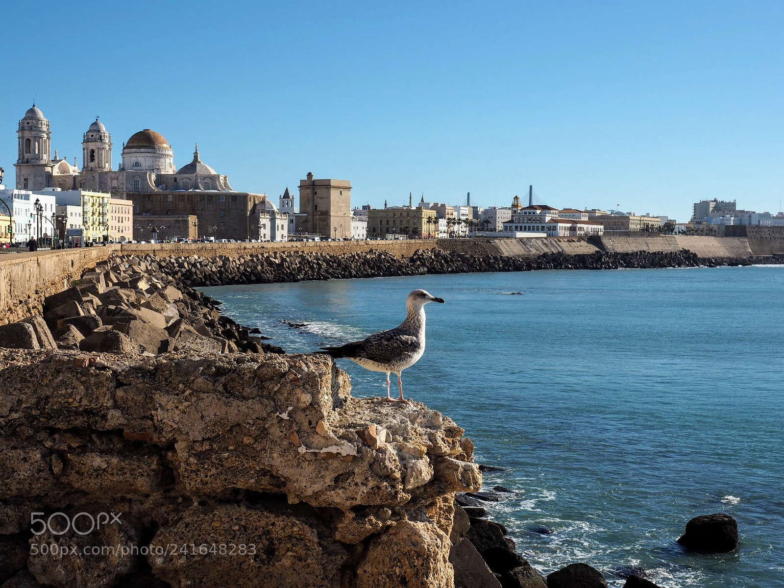 Olympus OM-D E-M5 II sample photo. Malecón photography