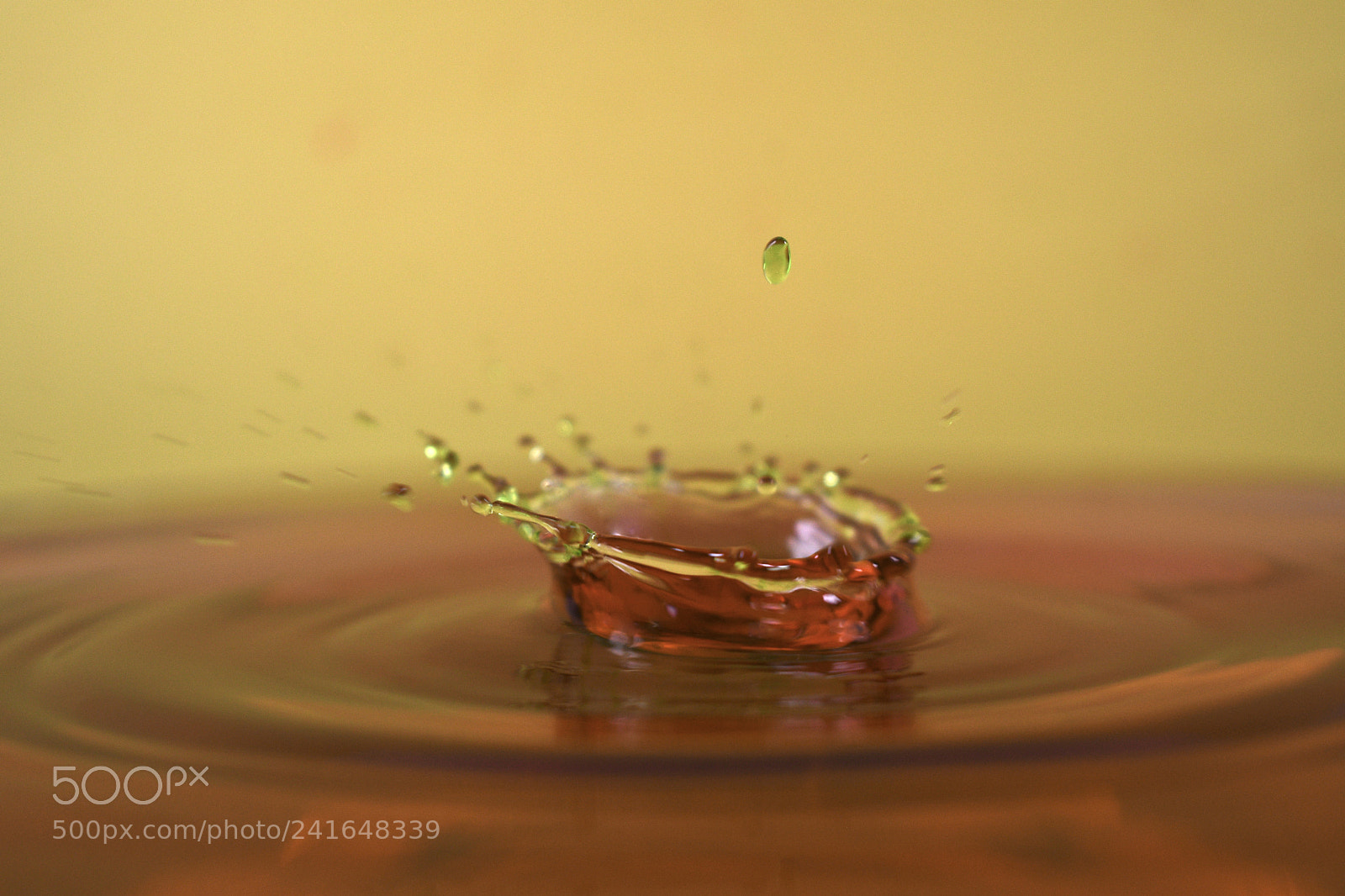 Nikon D500 sample photo. Splish splash 2 photography