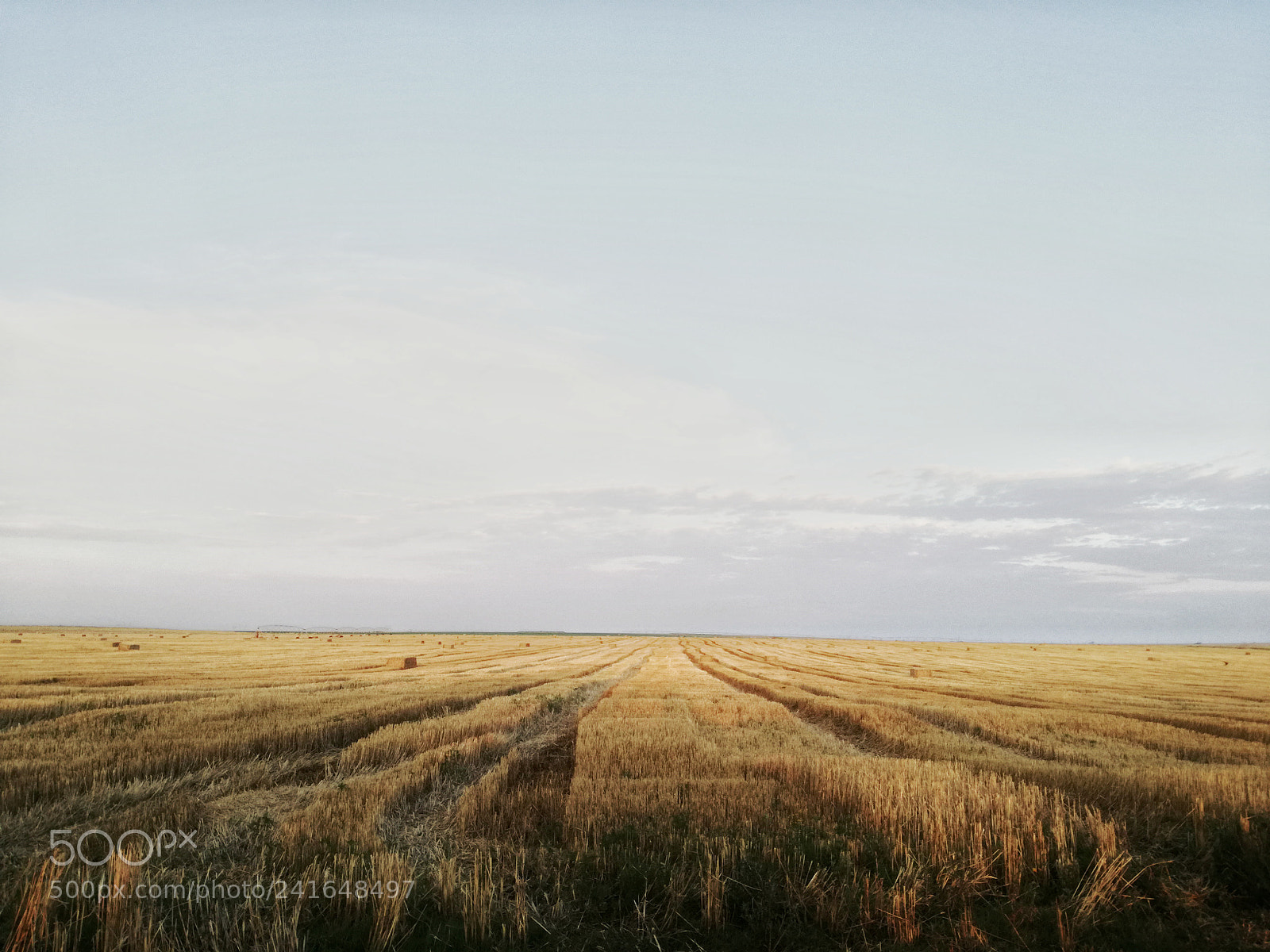 HUAWEI P9 LITE sample photo. Bales photography