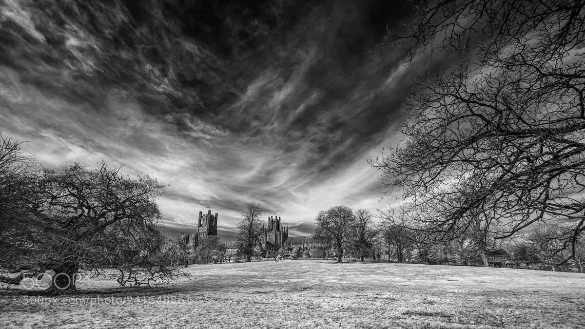 Sony a7 sample photo. Mono ely cathedral photography