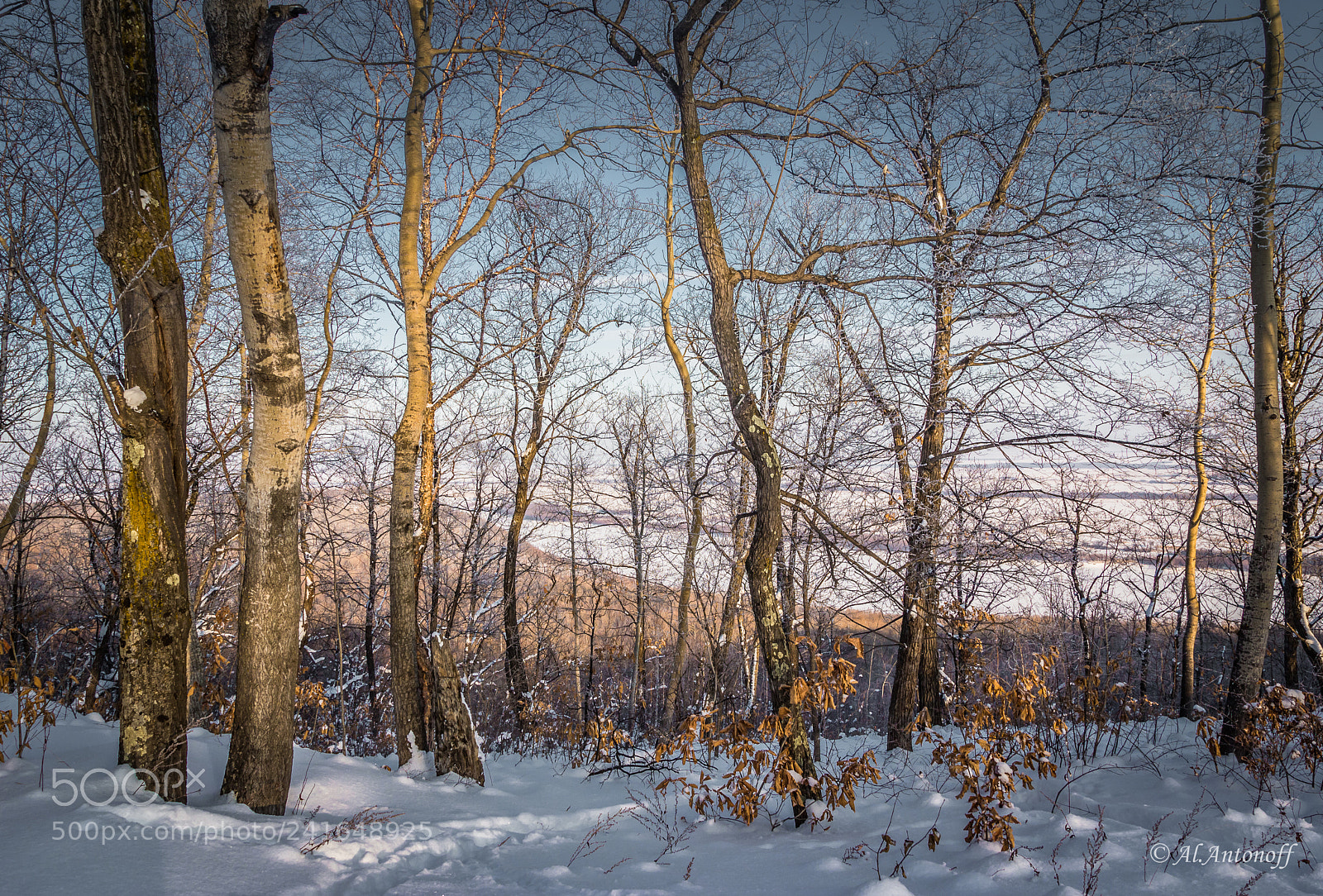 Canon EOS 550D (EOS Rebel T2i / EOS Kiss X4) sample photo. Amur river view photography