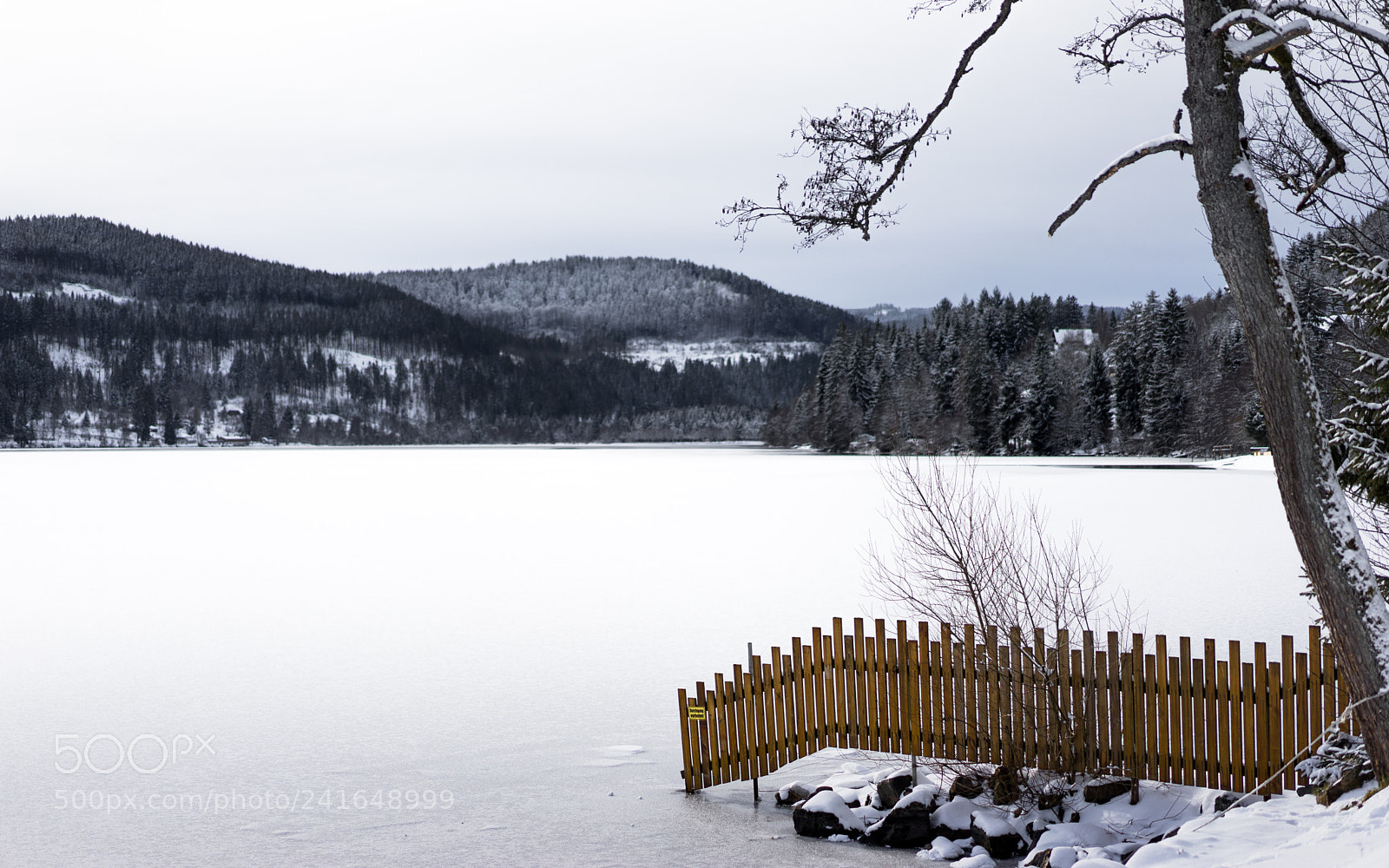 Sony a7 II sample photo. Titisee photography