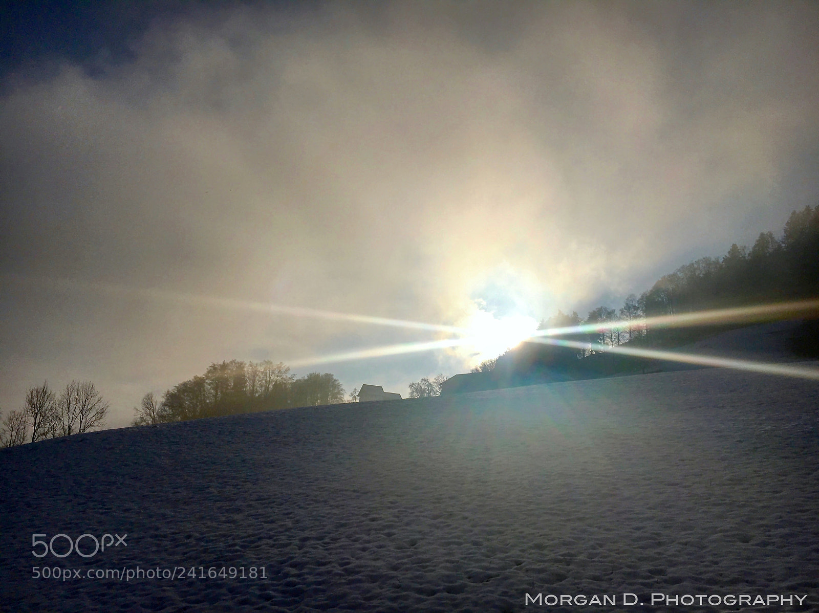 Apple iPhone 6s sample photo. Misty winter wonderland photography
