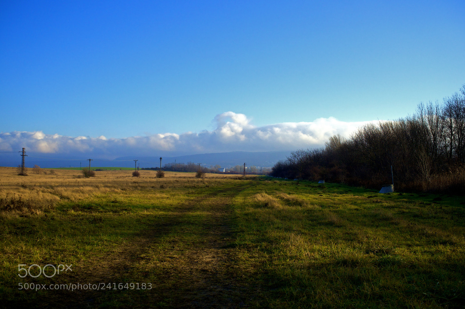 Sony a7 sample photo. Land in winter photography