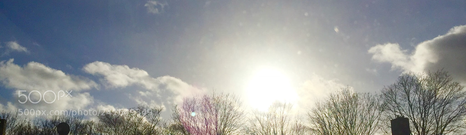 Apple iPhone 6 sample photo. Untitled photography