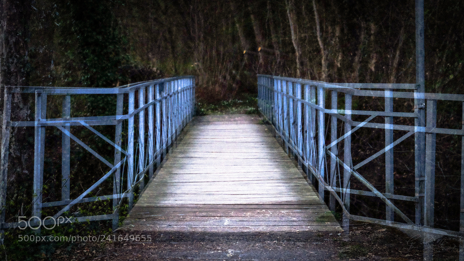 Fujifilm X-T1 sample photo. Into the woods photography