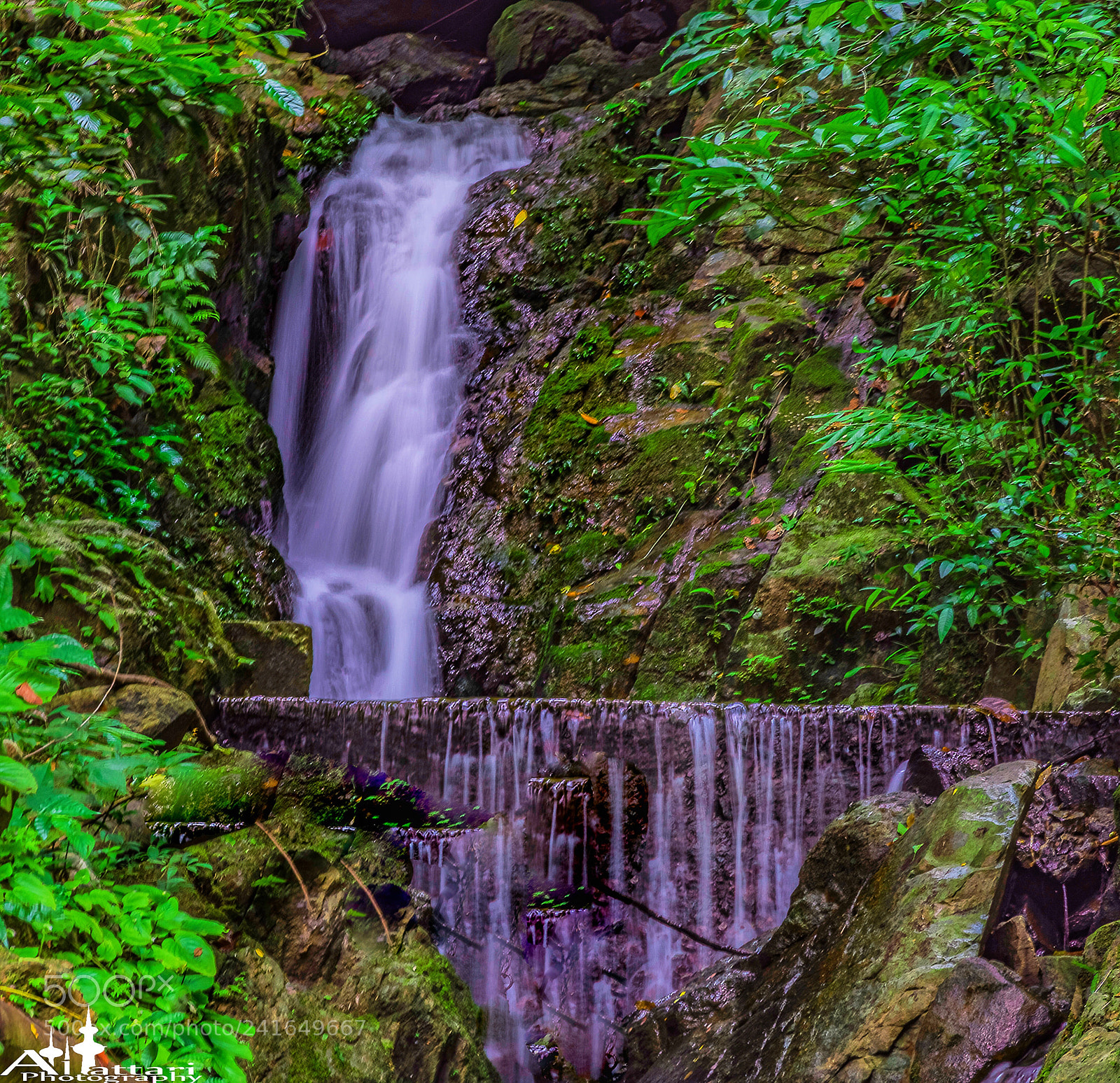 Nikon D7200 sample photo. I love the sound photography