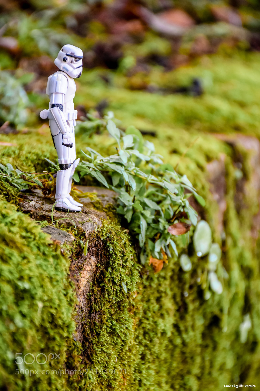 Nikon D7200 sample photo. Sw-tls-008 photography