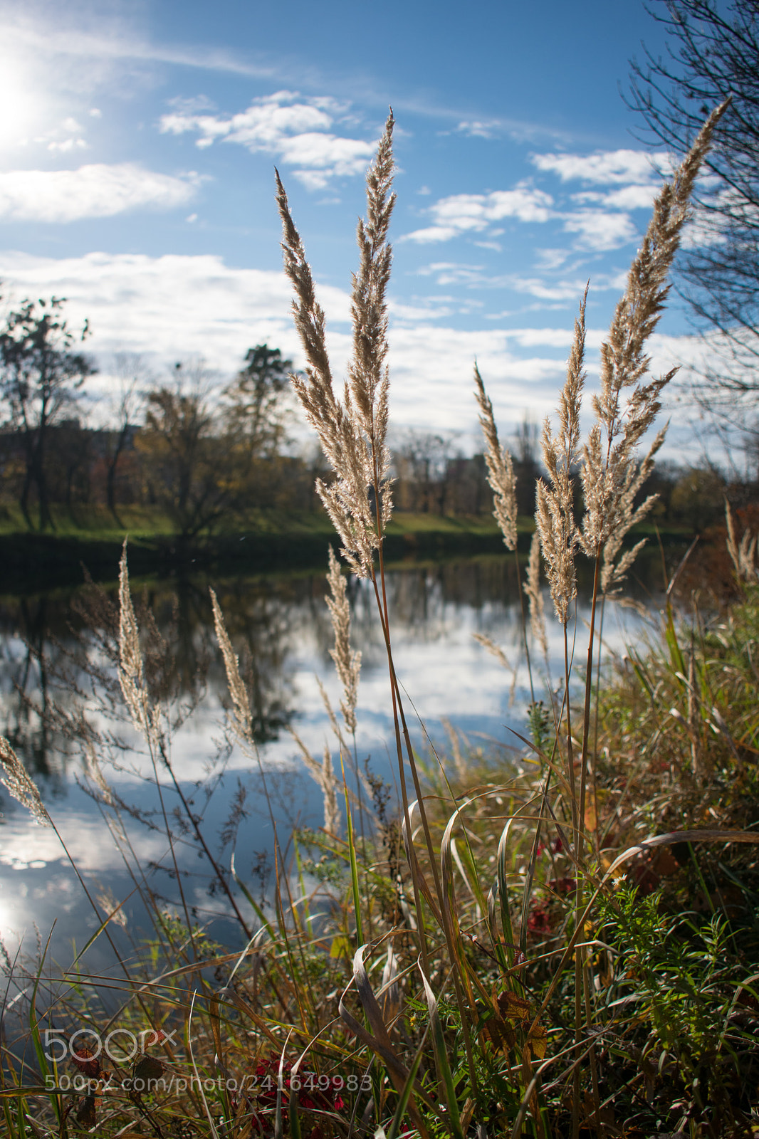 Nikon D3400 sample photo. Autumn by the river photography