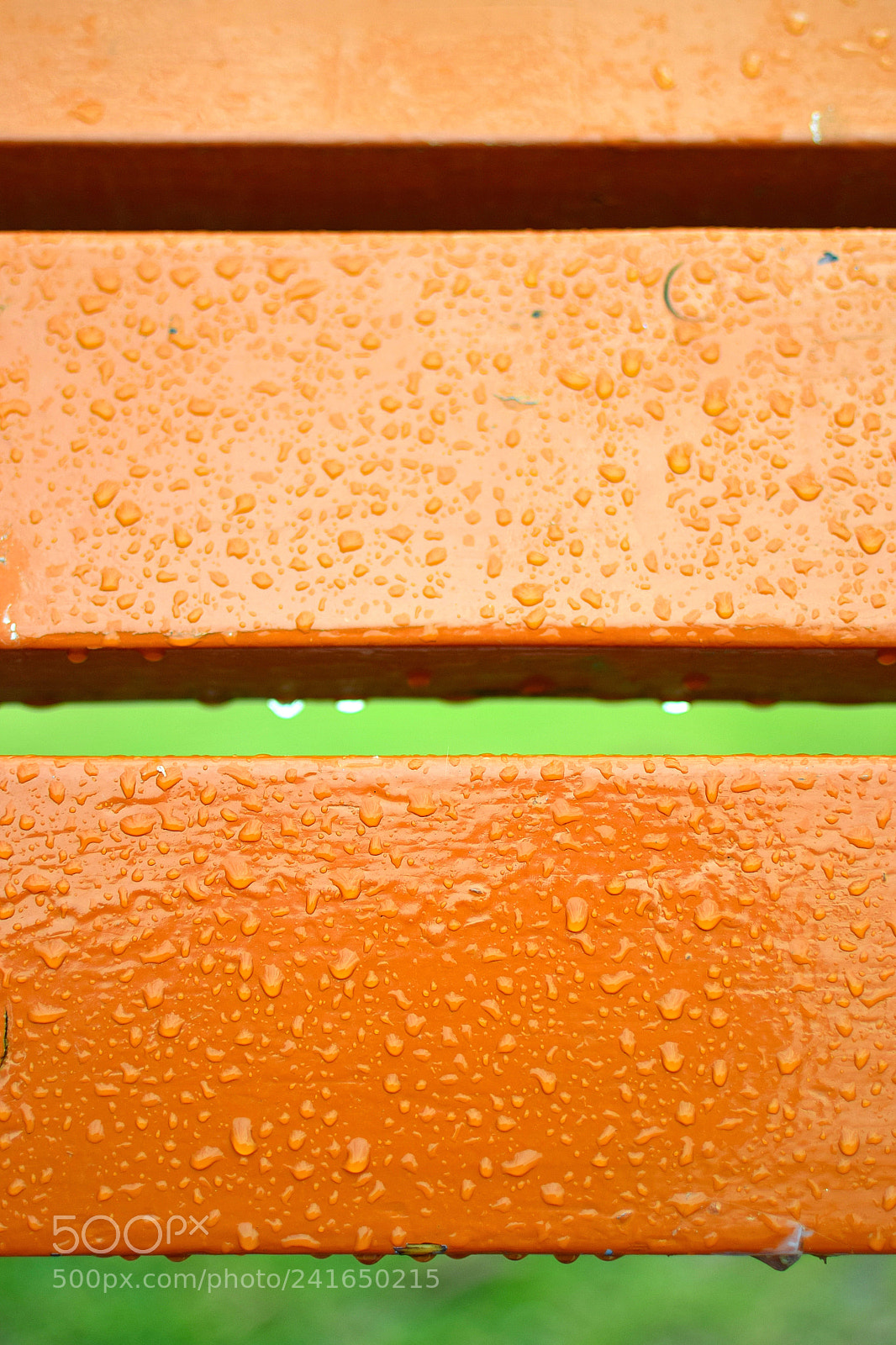 Nikon D5300 + Nikon AF-S DX Nikkor 35mm F1.8G sample photo. Raindrop photography