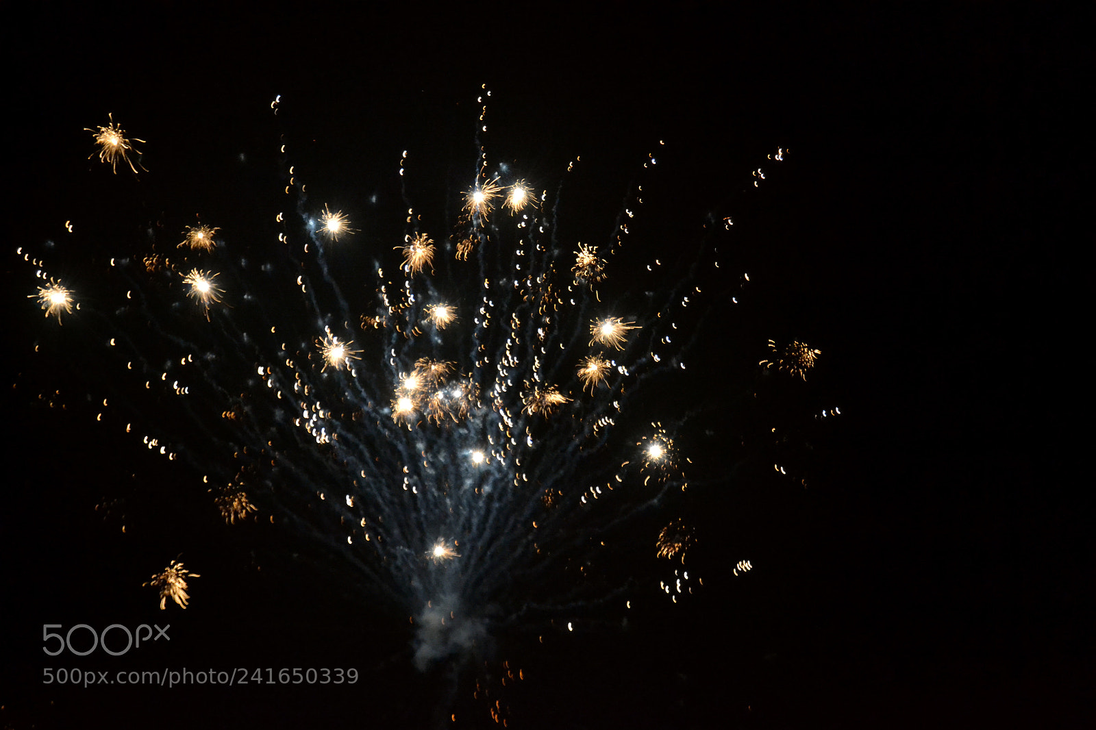 Nikon D3100 sample photo. Light up the night photography